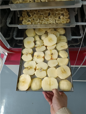 永合創(chuàng)信實驗室凍干機應(yīng)用于食品凍干科研開發(fā)!