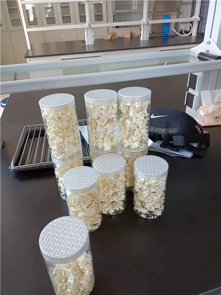 如何使用能延長凍干機(jī)的使用壽命？