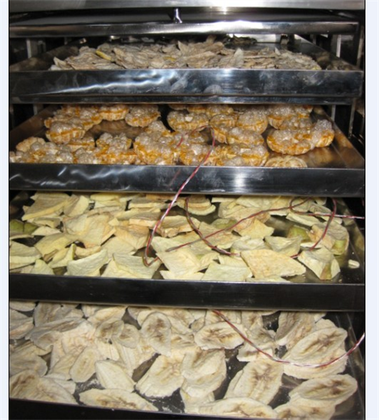 冷凍干燥機(jī)在食品凍干加工中需要注意哪些細(xì)節(jié)？