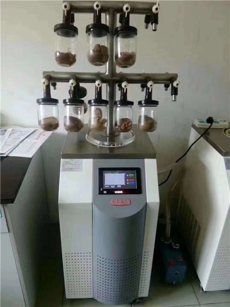 實(shí)驗(yàn)室立式冷凍干燥機(jī)常見故障與預(yù)防措施：從開機(jī)到運(yùn)行全程管理
